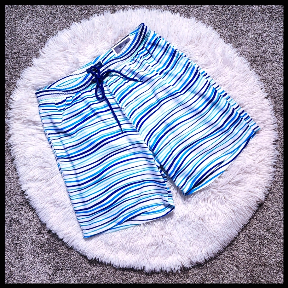 NWT Men's Club Room Blue and White Striped Swim Trunks
